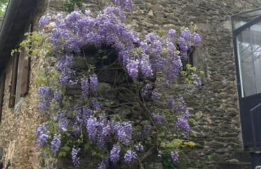 Les Groseilliers - Photo 20