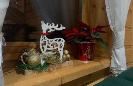 Domki Szarotki - Foto 12