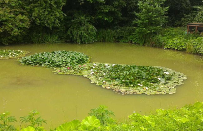 Turbaza Serebryany Klyuch - Photo 39