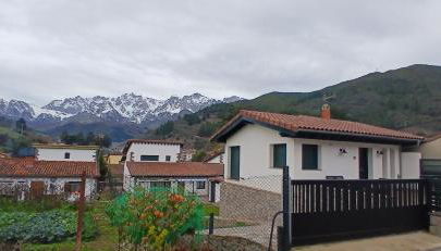 Mirando a los Picos de Europa - Foto 2