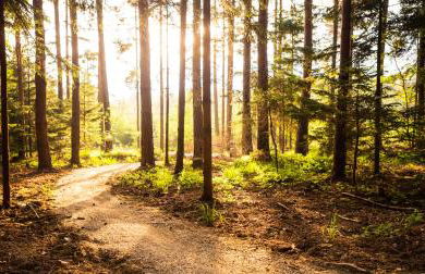 Weekly Boardinghouse - Foto 41