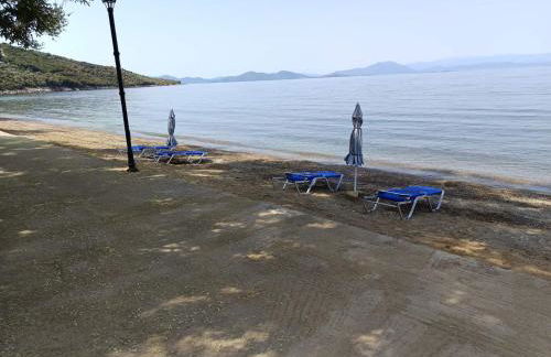 Homico 1 Lefokastro - Foto 39