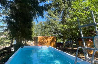 Igły i szyszki - Foto 13