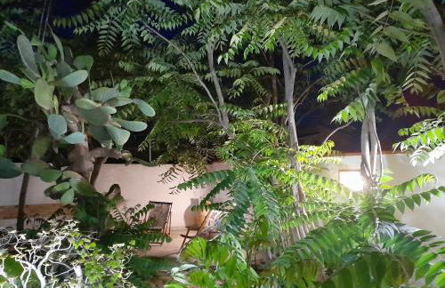 La Villa di Eracle - Foto 67