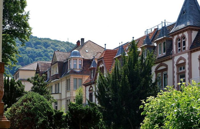 Tagesausflug nach Heidelberg - Private Ganztagestour - Foto 7