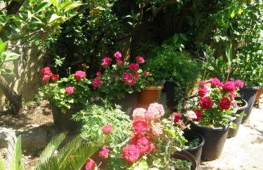 Apartments Solitudo - Foto 11