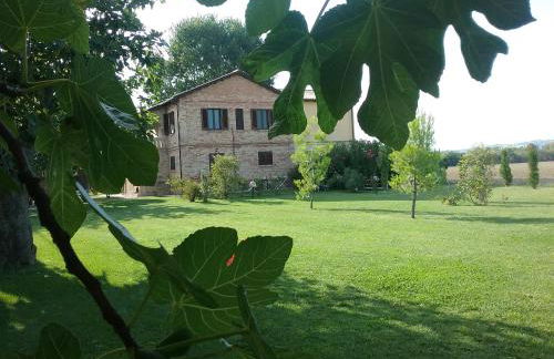 Agriturismo Terralieta - Foto 40