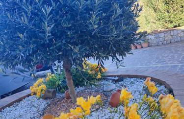 Casa Vacanze Villa Anna - Foto 50