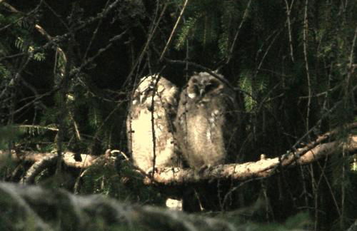 Schöne Aussicht - Foto 25