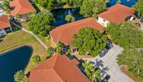 Palm Lagoon - Foto 2