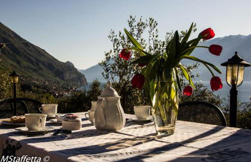 Agriturismo L'Uliveto - Foto 68