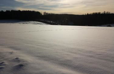 Ferienwohnung in Waldrandlage in Nationalpark Schleiden / Eifel - Foto 76