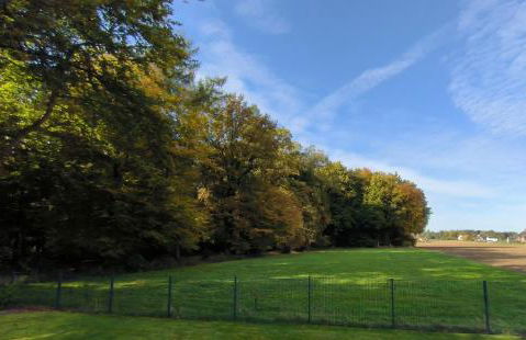 Ferienwohnung Waldgeflüster - Foto 16