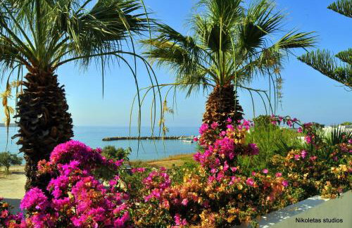 Nikoleta's Studios - Photo 13