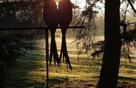 Domaine de la Brette - Photo 52