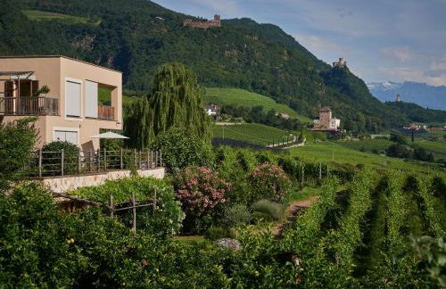 Weingut Stuck - Foto 42