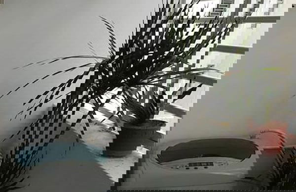 Super Convenient at Desa Tebrau Johor Bahru - Foto 11