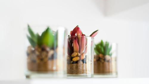 Loft Malagasol - Foto 5