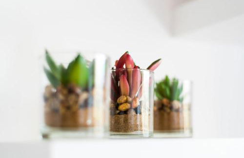 Loft Malagasol - Foto 5