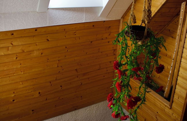 Apartma Pohar- A Bit Different! - Foto 36