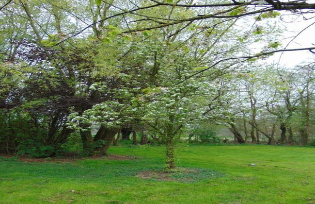 Chalet in Breebos Near Antwerpse Noorderkempen - Foto 35