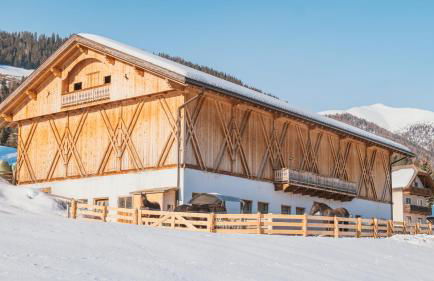 Altmessnerhof - Foto 29