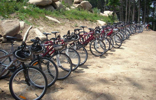 Visite du Parc Naturel Sintra-Cascais à vélo - Photo 2