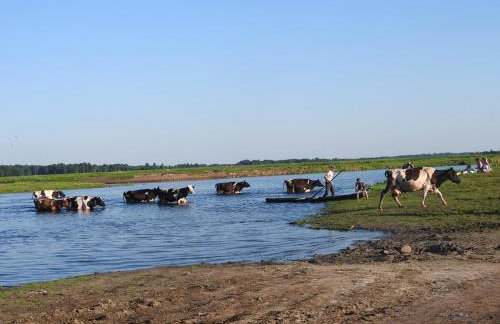 Agroturystyka Biebrzańska Kraina - Foto 47