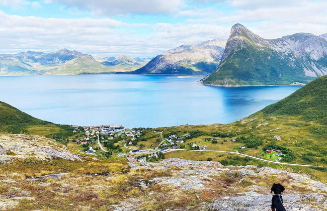 4 Person Holiday Home in Stonglandseidet-by Traum - Foto 25