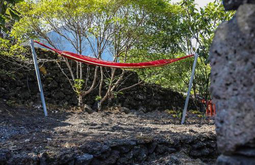 Adega Baía Azul - The essence of Pico - Photo 7