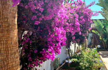 Villa Rosa meravigliosa con piscina interna - Photo 26