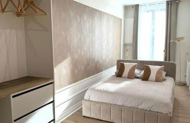 Appartement avec magnifique vue sur la Saône et son balcon - Foto 23