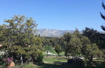 Casa da Vinha - Foto 30