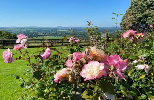 Beehive Cottage - Photo 29