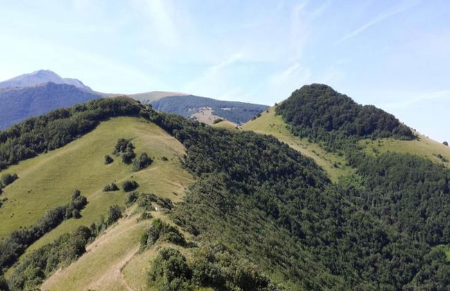 Belvilla by OYO Raggio Un Posto al Sole - Foto 21