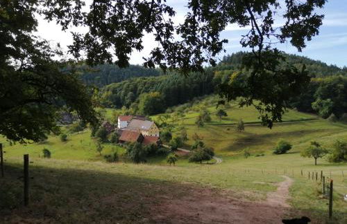 Ferienhaus "Schleif" - Foto 12