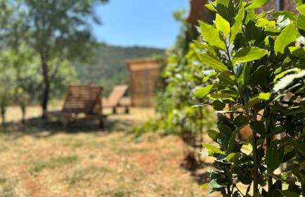 Dolce Terra - Photo 44