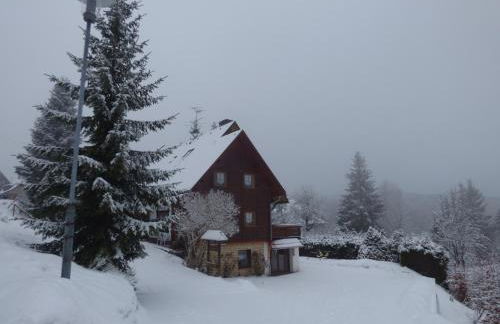 Ferienwohnung Seeblick Nr 1 ,Feldberg Bärental - Foto 29