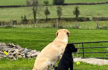 Wye View Lodge, Hay View Lodges - Foto 11