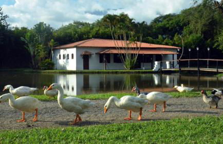 Hotel Fazenda Villa-Forte - Photo 104