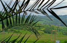 Wzgórze Jasia - Foto 49