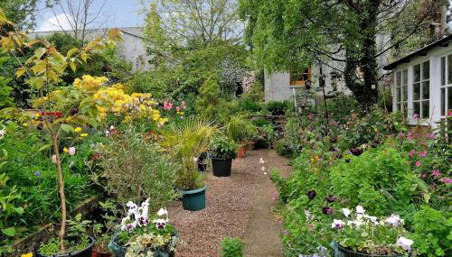 Entire unique tiny house - Moss Cabin - Foto 2, Garden