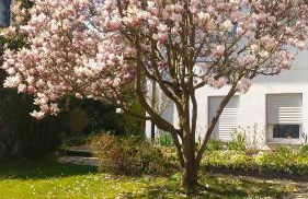 Carlchens Casa - Photo 35