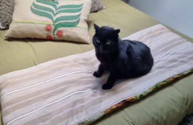 La Damoiselle en Bourgogne - Foto 30