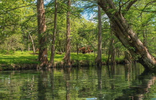 Postcard Cabins Hill Country, Outdoor Collection by Marriott Bonvoy - Foto 27