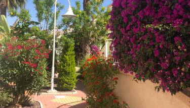 Villamartin Tosca - Foto 5, Garden