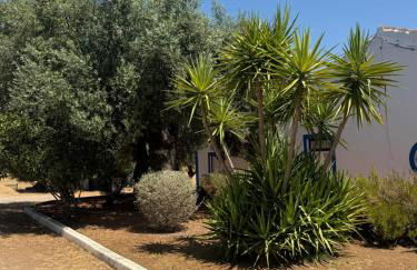 Casa Bungavilia - Roots of Alentejo - Foto 63