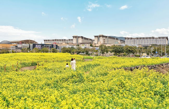 Somerset Jeju Shinhwa World - Foto 49