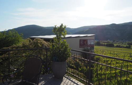 Weingut & Gästehaus Andreas Erz - Foto 18