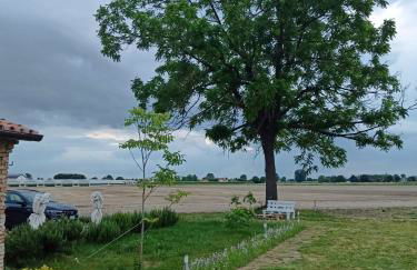 Ecofriendly house Colli Euganei - Photo 3